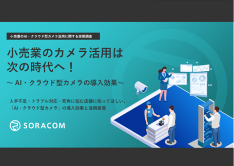 小売業のAI・クラウド型カメラ活用に関する実態調査